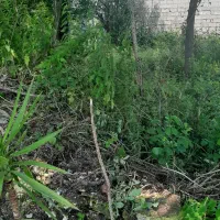 فروش-قطعه-173-متر-زمین-در-لنگرود
