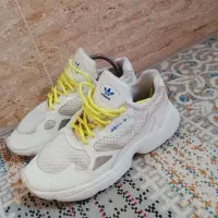 کتونی آدیداس تاناکورا