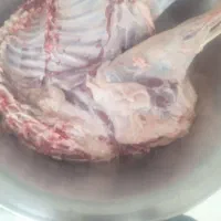 بزغاله