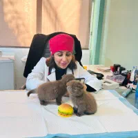 کلینیک دامپزشکی  با ۷ سال تجربه کاری موفق در مشهد