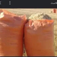 گونی خالص بفروش میرسه