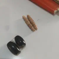 کتاب دعا