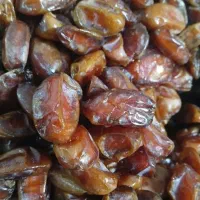 خرمای بدون هسته