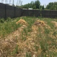 پلاک-یک-جنگل-آمل-معلم-کلا-8500-متر-باغی-با-سوله