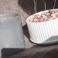 تعدادی گلدان سرامیکی کاملا سالم