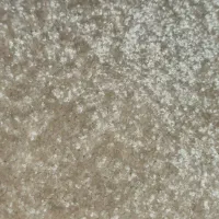 ۲۴ متر موکت پالاز ،مدل رویال