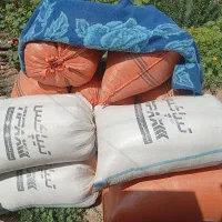 کاه عدس / سامان