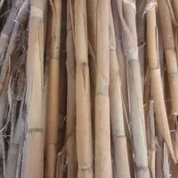 باغه چیت