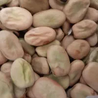 باقله محلی تمیز