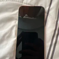 iPhone 13 poro max