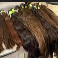 صادرکننده مستقیم مو از ترکیه