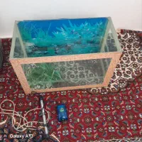 آکواریوم