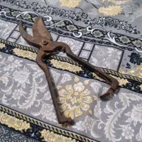 قیچی باغبانی قدمت دار