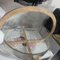 میوه خوری نو دکوری کادو بوده