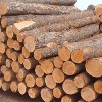 خرید چوب از کشاورزان عزیز