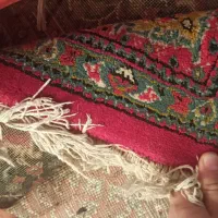 فرش 6 متری|فرش|رشت, لاکانی|دیوار