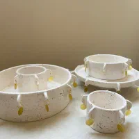 سرویس پذیرایی سرامیکی