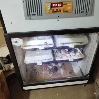 دستگاه جوجه کشی هواباتور ۳۳۶تایی