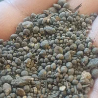 خریدجو وکود|خدمات باغبانی و درختکاری|شوش, |دیوار