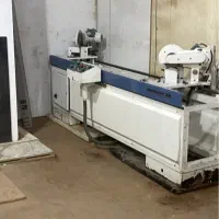 دوکله زن فارسی بر دم چلچله