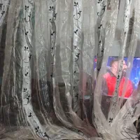 پرده درحدنوه