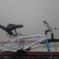 تنه دوچرخه
