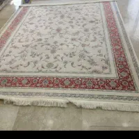 یک جفت 9متری 1200شانه تراکم 3600 افشان