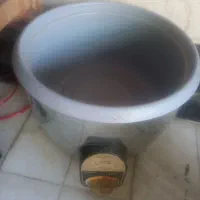 ۲ عدد پولوپز برقی
