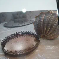 فرگاز ظرف کفش مردانه