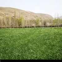 صد قصب باغ با ساختمان نوساز