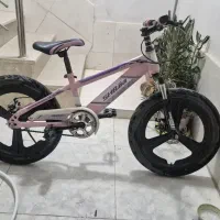 دوچرخه در حد نو