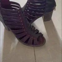 کفش مجلسی