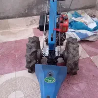 علف چین در حد نو