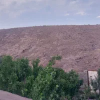 زمین و باغ شهرجوزم