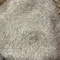 برنج دونوج بینام(کشت دوم اصلی)