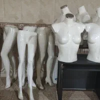مانکن