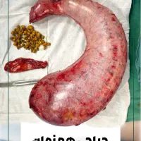 اسلیو و بای پس و مشاوره رایگان و بیمه