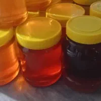 عسل باکیفیت بهاره آذربایجان غربی