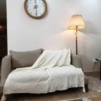 آباژور خارجی