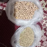 عدس ونخود