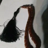 سندلوس المانی تکمیل۳۳ عدد