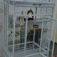 قفس بزرگ کاسکو