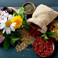 معرفی کار