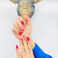 مدل برای کاشت لمینت ژلیش ناخن