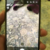 iPhone 12pro 256g