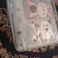 سرویس  تشک بچه