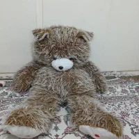 عروسک خرس پولیشی با قد ۱۴۰
