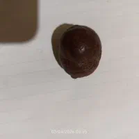 سه عدد سنگ مشکوک به شهاب سنگ