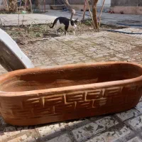 فروش گلدان سالم و تمیز