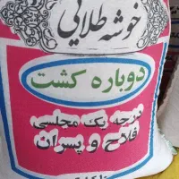 همه نوع برنج